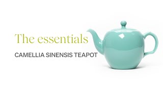 Camellia Sinensis Teapot  Perfection [upl. by Jorgensen]