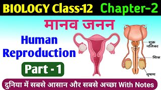 biology class 12 chapter 2  human reproduction class 12  manav janan class 12th biology in hindi [upl. by Henke]