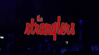 The Stranglers live in Aberdeen 2022 [upl. by Anirol]