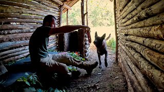 Build Bushcraft Survival Dugout  Outdoor Camping Wilderness Cooking Nature Adventure Diy Asmr [upl. by Howarth403]