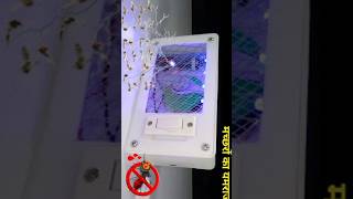 KILL MOSQUITOS INSTANTLY DIY Mosquito Killer at Home shorts diy ideas homeactivities [upl. by Orfurd85]