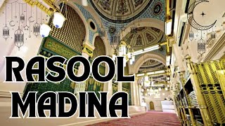 MIMBER E RASOOL IN MADINA roula shareef madina malayalam  roula shareef inside  MADINA [upl. by Benis]