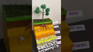 Layers of Soil making 3D model  soil Profile  Science project exhibition  shorts [upl. by Eohce]