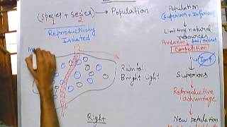 Evolution  Parapatric Speciation [upl. by Eiramasil]