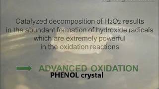 Phenol Degradation by Catalyzed Hydrogen Peroxide H2O2 [upl. by Doralia]