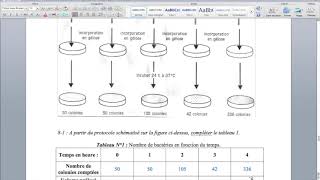 Partie 2 TD1 D4P4  Rappel croissance bactérienne [upl. by Lomasi427]