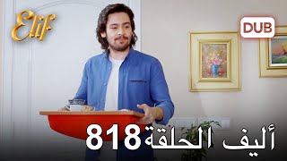 أليف الحلقة 818  دوبلاج عربي [upl. by Dodson]