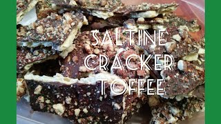 Saltine Cracker Toffee  Vlogmas Day 22  How to [upl. by Arebma894]