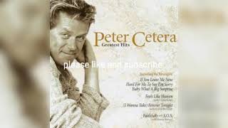 peter cetera greatest hits best songs of peter cetera nonstop playlist [upl. by Ap991]