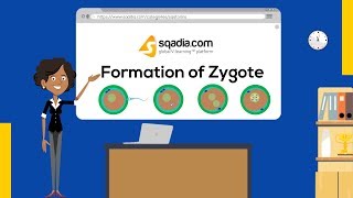 Formation of Zygote  Embryology Student VLearning  Medical Animation  sqadiacom [upl. by Annim]