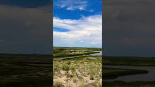 Alamosa National Wildlife Refuge Colorado 🦆 wildlife nature colorado wildlifephotography [upl. by Llevrac86]