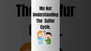 quotSulfur Cycle How It Works in Nature 🌍 ScienceFactsquot🔥🔥Viral Shorts [upl. by Pip]