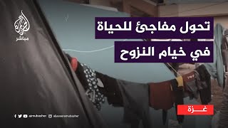 مراسل الجزيرة مباشر يُفاجَأ بأحوال خيمة فلسطينية نازحة [upl. by Otilrac]