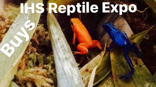 Poison Dart Frogs  Mixed Species from Expo to Tank [upl. by Wsan257]