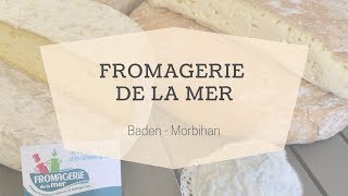 La Fromagerie de la mer à Baden Golfe du Morbihan  Morbihan Tourisme [upl. by Booma]