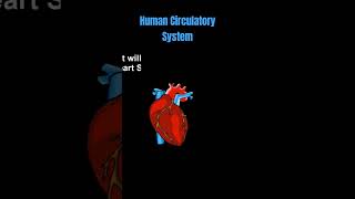 Human Circulatory System Animation biology science humancirculatorysystem bloodvessels heart [upl. by Studner183]