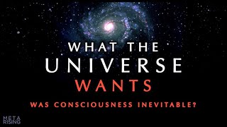 Does the Universe have a Purpose  Consciousness Documentary [upl. by Harp]