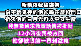 新婚夜我被綁架，一向不信鬼神的他卻跪在產科門口，祈求他的白月光可以平安生產，我無數通求救電話皆被掛斷，12小時後我被救回，他卻被眼前一幕刺激瘋爽文完結一口氣看完小三豪門霸總 [upl. by Idoj769]