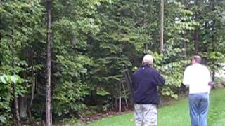 How to Quickly and Easily Remove a Hornets Nest [upl. by Nelloc]