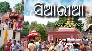 siaria nrusinhapur Cuttack Odisha iskcon bhubaneswar Padayatra 2024 [upl. by Oslec]