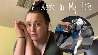 A Week in our life Vlog W1 [upl. by Eelrehpotsirhc]