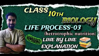 Life processes class 10th Heterotrophic Nutrition NCERT line by line explanation [upl. by Ramgad]