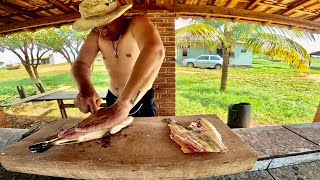 SÓ VENDO PARA ACREDITAR  Fiz Peixe Frito no Acampamento [upl. by Mackenzie]