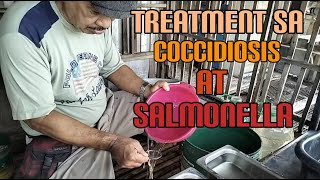 Treatment Sa Coccidiosis at Salmonella [upl. by Mikel]