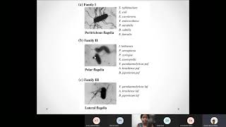 Lecture 14 Bacterial motility 20220302 075856 Meeting Recording [upl. by Rojas]