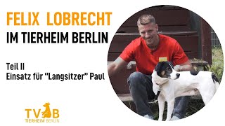 Felix Lobrecht im Tierheim Berlin  Champions suchen ein Zuhause  Folge 2 Paul [upl. by Ruder474]