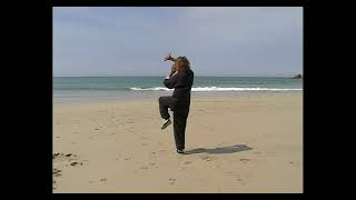 Lee style Tai Chi sword on Gwynver beach [upl. by Ocirederf]