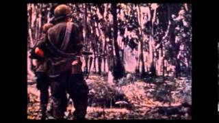 My Tour in Vietnam 1969 70 [upl. by Michaud209]