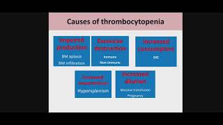 CAUSES OF THROMBOCYTOPENIA AND ITP TAMER ELBEDEWY 20202021 [upl. by Donica]