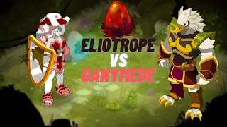 Dofus Ganymede Elio [upl. by Currier]