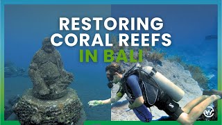 Restoring Coral Reefs in Bali [upl. by Caldeira516]