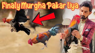 New Murghy Ko Pakarna Mushkel Ho gya  Mini zoo  Syed vlog [upl. by Gillan]