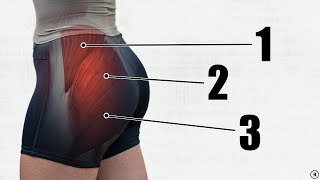 How To Grow Your Glutes 5 BEST Exercises  Gluteal Amnesia Myth Busting [upl. by Neeham357]