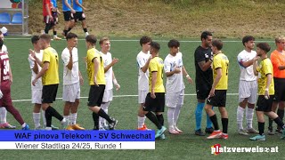 Highlights WAF  Schwechat Wiener Liga 2425 [upl. by Alberto]