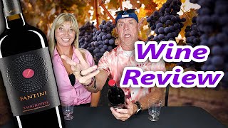 Fantini Sangiovese Wine Review [upl. by Quill]