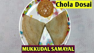 Dosa recipe in tamil Chola dosai Breakfast recipe in tamil [upl. by Misak]