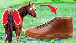 910 Why horse butt cheek sneakers cost [upl. by Friend]