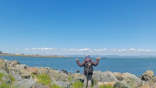 Light Tackle Saltwater Striped Bass Fishing from the Bank South San Francisco Bay [upl. by Christmann]