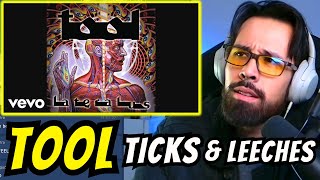 TOOL  TICKS amp LEECHES REACTION [upl. by Katalin]