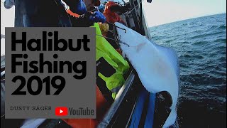 Alaska Halibut Fishing 2019 HD [upl. by Jaan410]