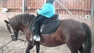 Therapeutisches Reiten mit Julia 2 [upl. by Lamrouex]