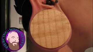 How to Stretch your Earlobe Piercings the safe and healthy way [upl. by Nylarat]