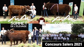 Concours Salers 2021 au sommet de lélevage [upl. by Ahsinat]