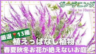 【ガーデニング】庭づくり年間計画 厳選❣宿根系13種 次々お花が咲くおしゃれで楽なお庭🪴 ガーデンデザイン 初めての庭づくり 植えっぱなし 初心者さんも簡単で狭い庭OK Garden design [upl. by Prager]