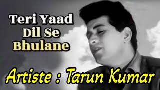 Teri Yaad Dil Se Bhulane [upl. by Alane575]