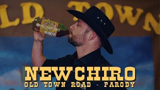 New Chiro Old Town Road  PARODY  Foundation Chiropractic Lutz [upl. by Zsamot928]